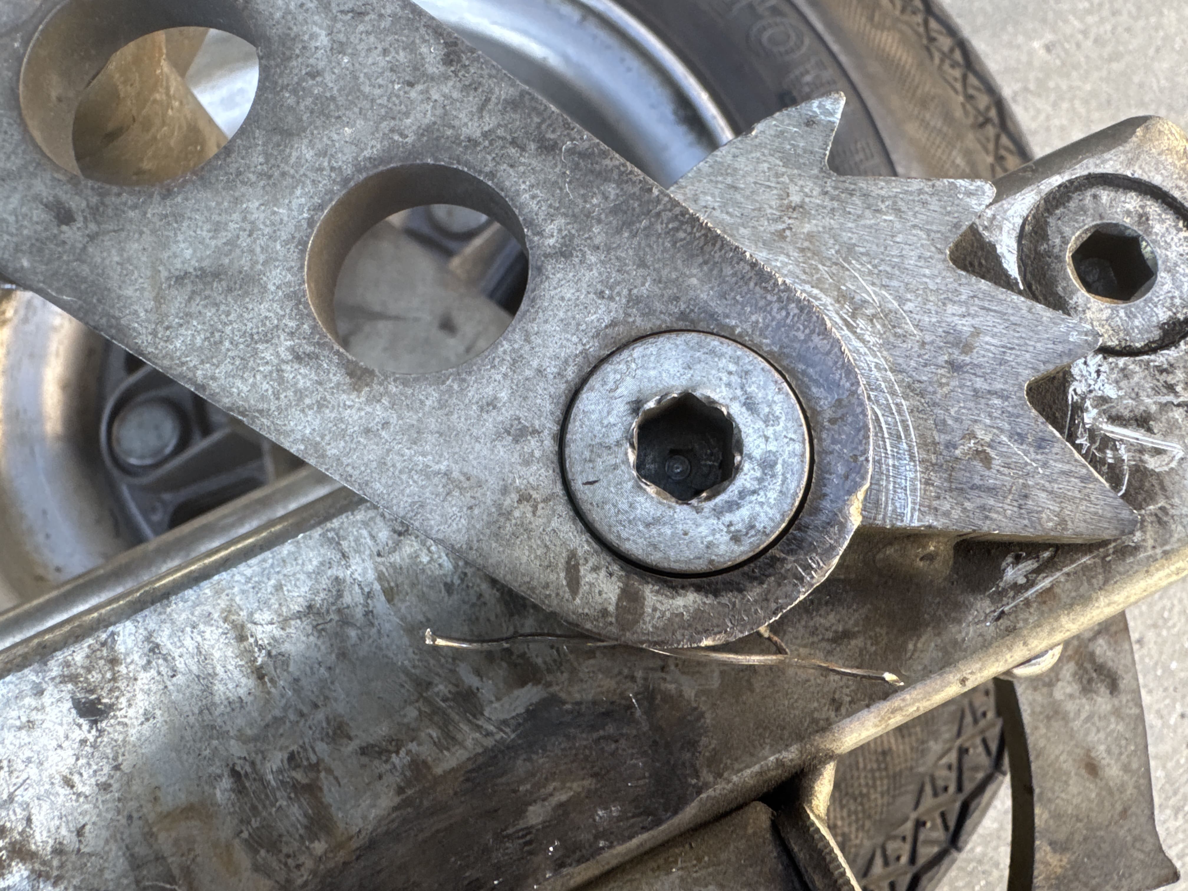 Photo Credit David Sereno